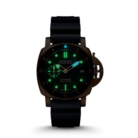 ww panerai warranty